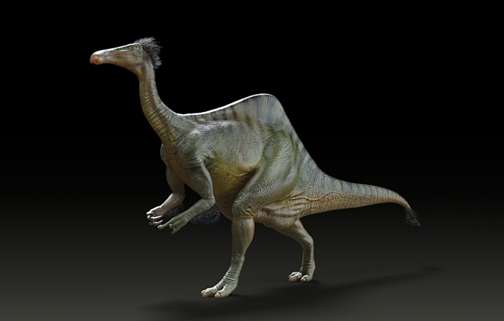 deinocheirus fossil